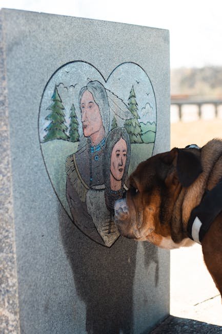 Custom Pet Face Hoodie