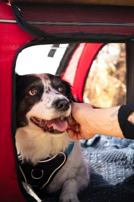 Dog Mom Canvas Tote Bag